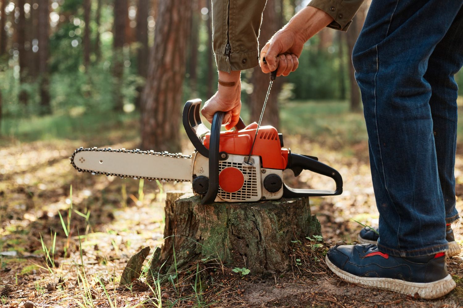 Tree work services Colorado Springs All In 1 Homestead